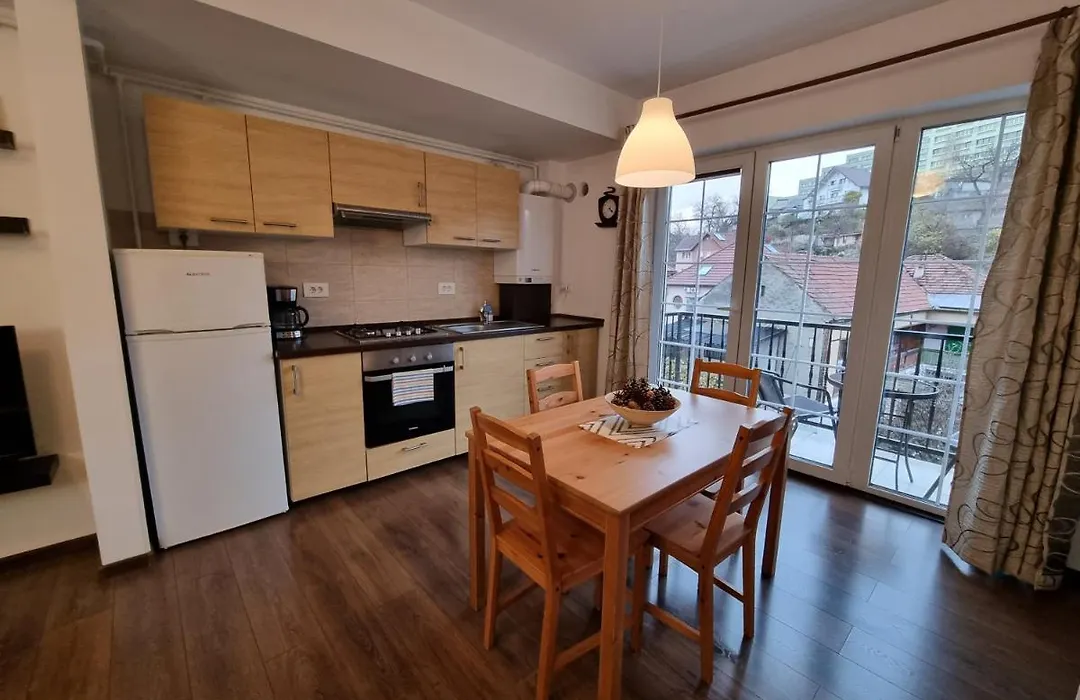 Avram Iancu Private Apartment With Ac-1